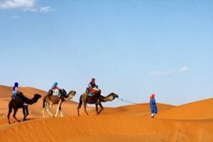 Contact Morocco Desert journey