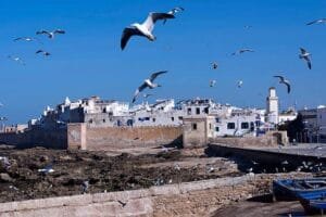 8 Days from Casablanca to Agadir