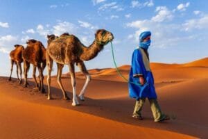 Camel Trekking