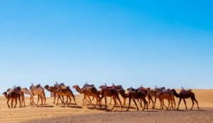 3 Days Tour from Marrakesh to Merzouga
