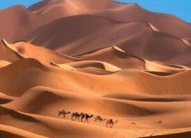 Time to visit Morocco