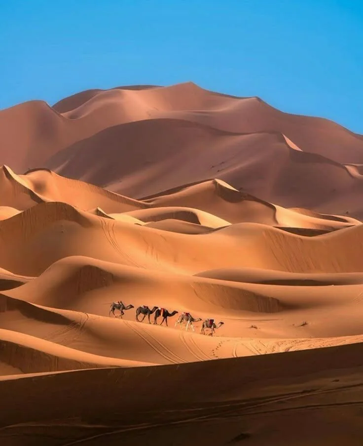 Time to visit Morocco