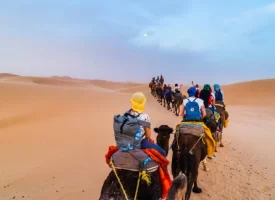 Honeymoon in Morocco