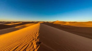 Morocco Desert Safari