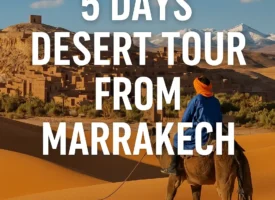 5 Days Desert Tour from Marrakech