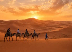 Visit Rissani Morocco