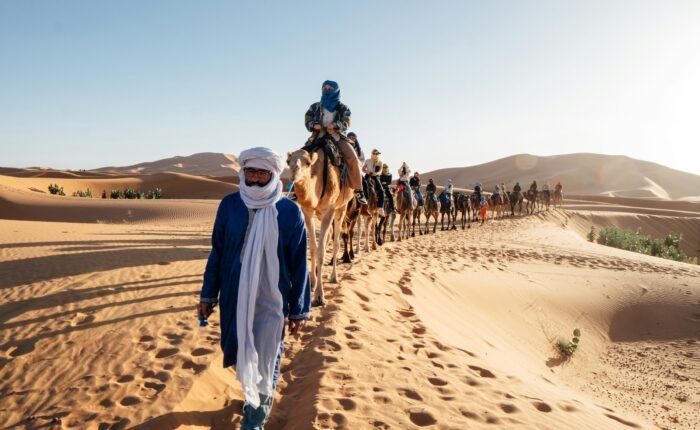 12 Days culture tour from Casablanca