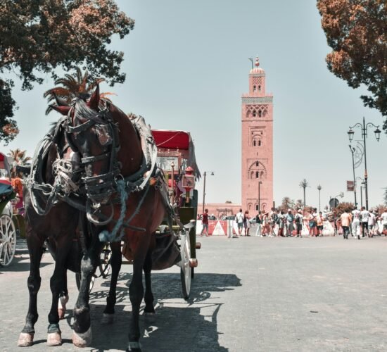 Tours From Marrakech